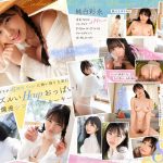Mdvr00365pl