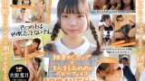 1sdab00339pl