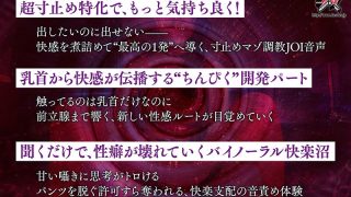 Dass00952jp 4